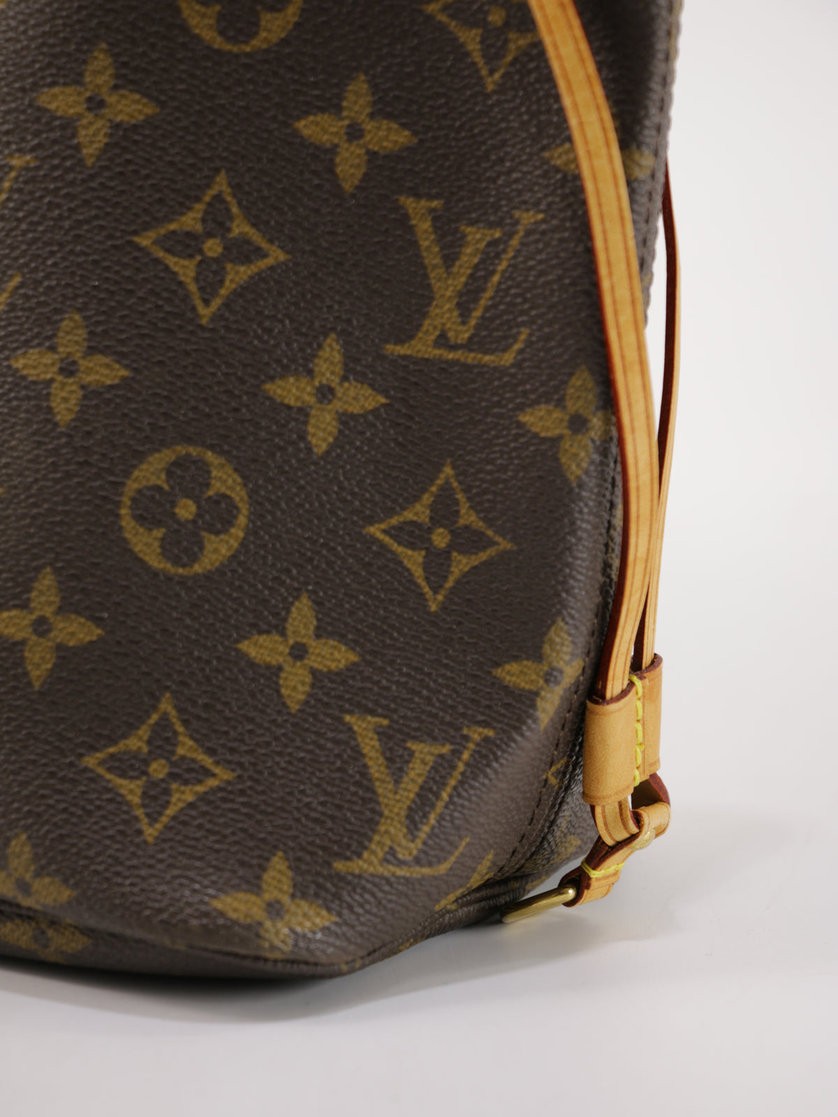 Louis Vuitton Neverfull PM