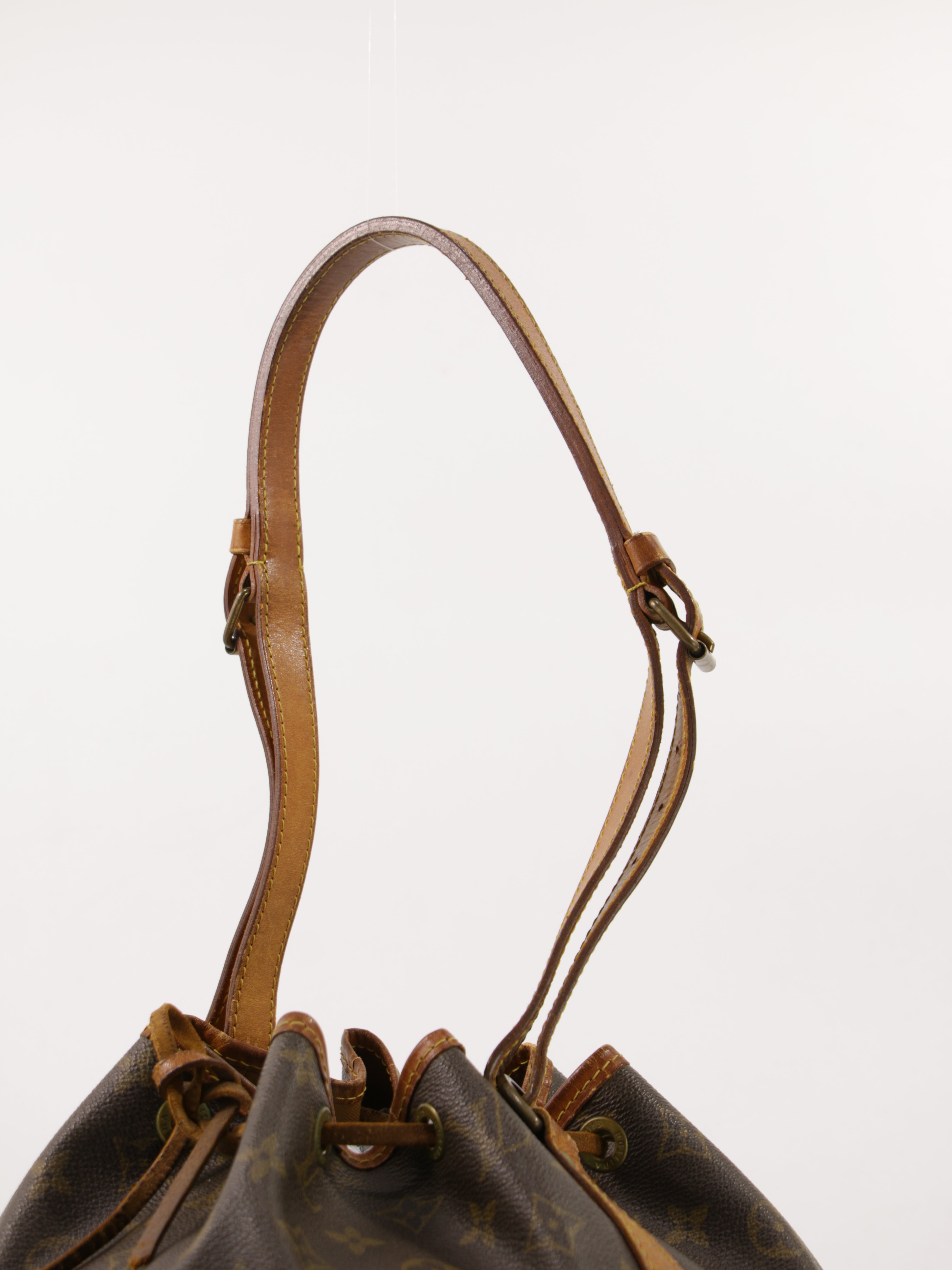 Petit Noé
