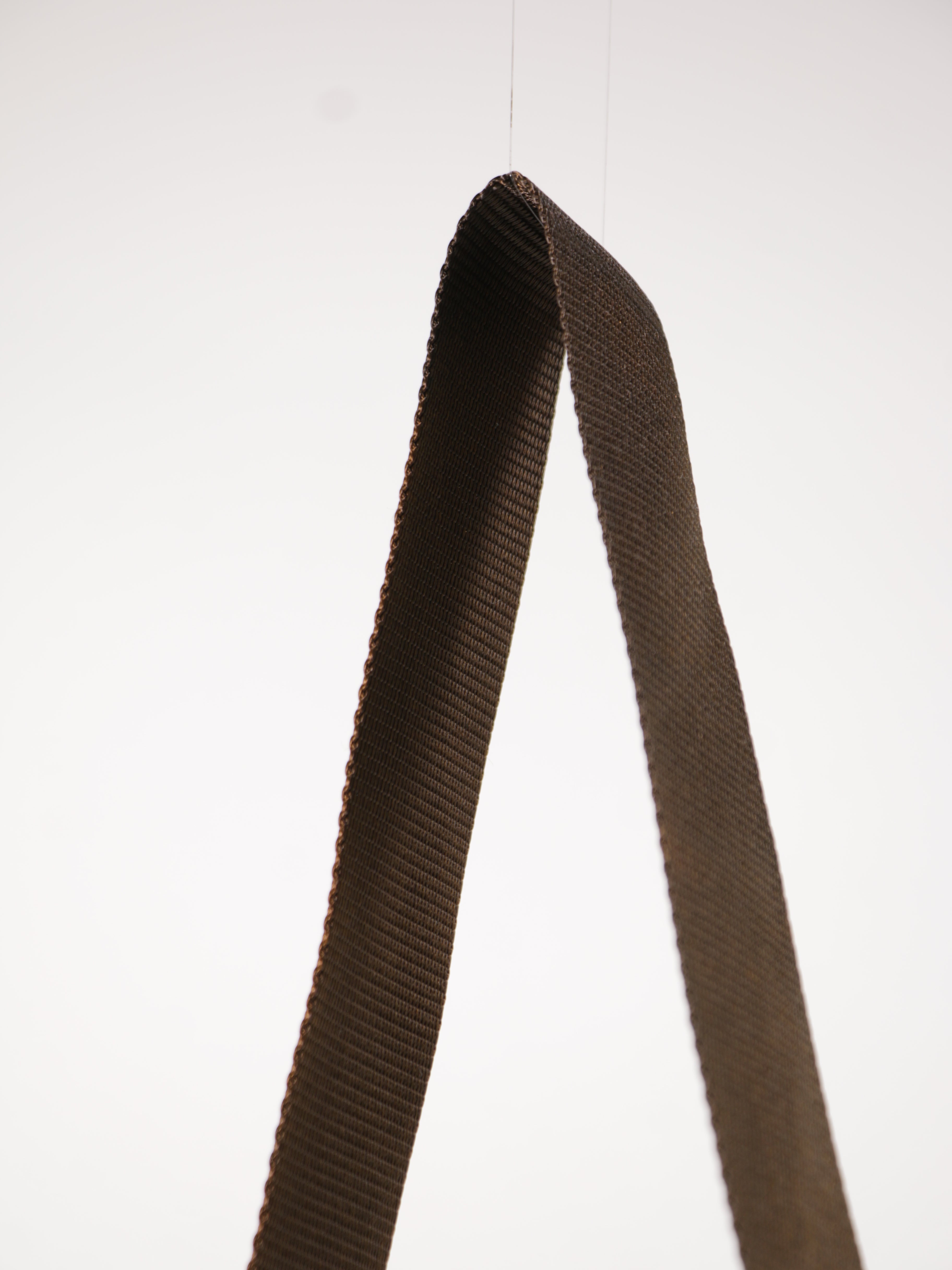 Double Buckle Messenger