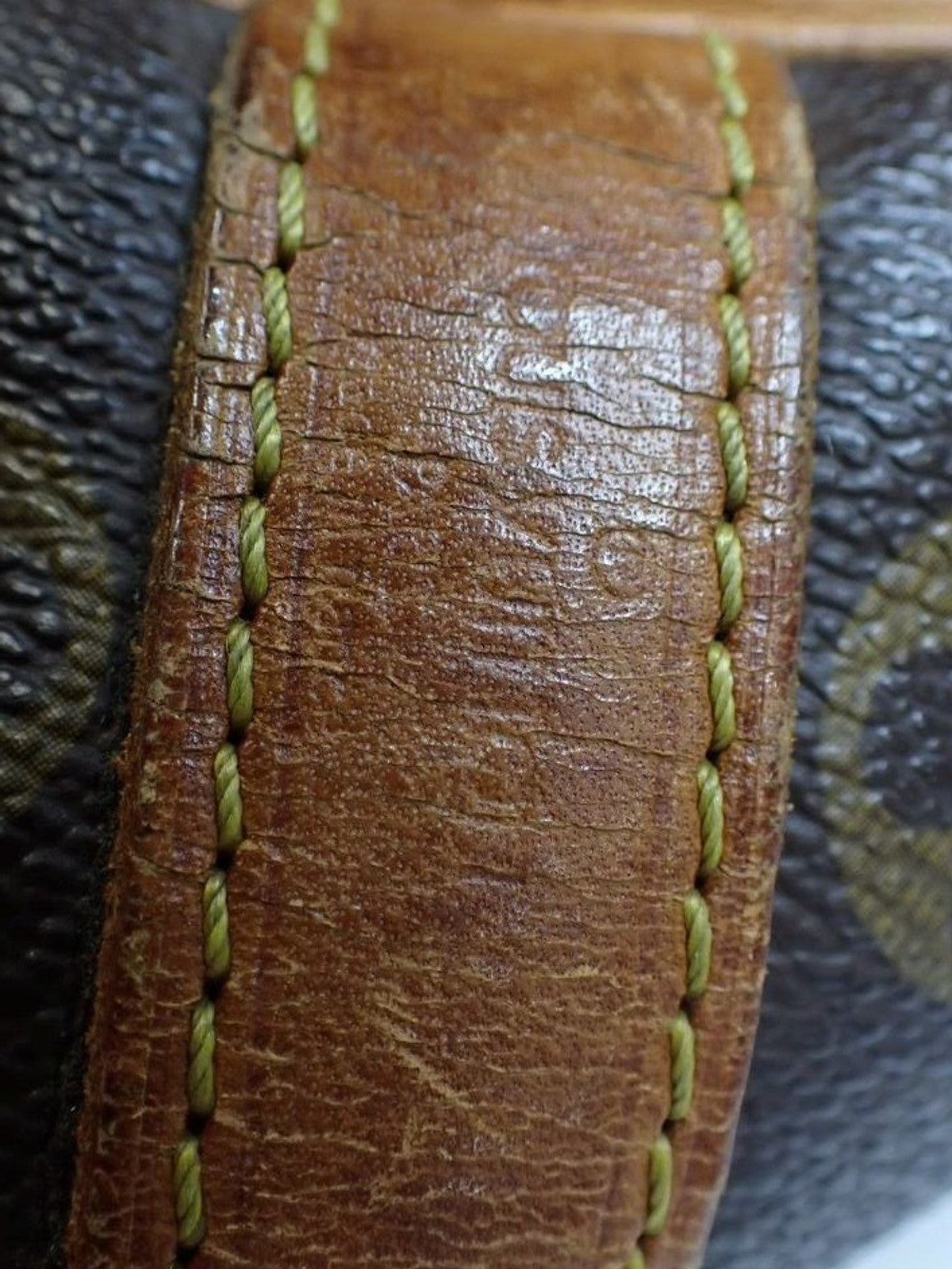 Petit Noé