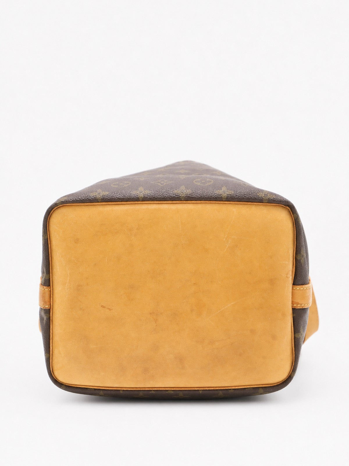 Petit Noé
