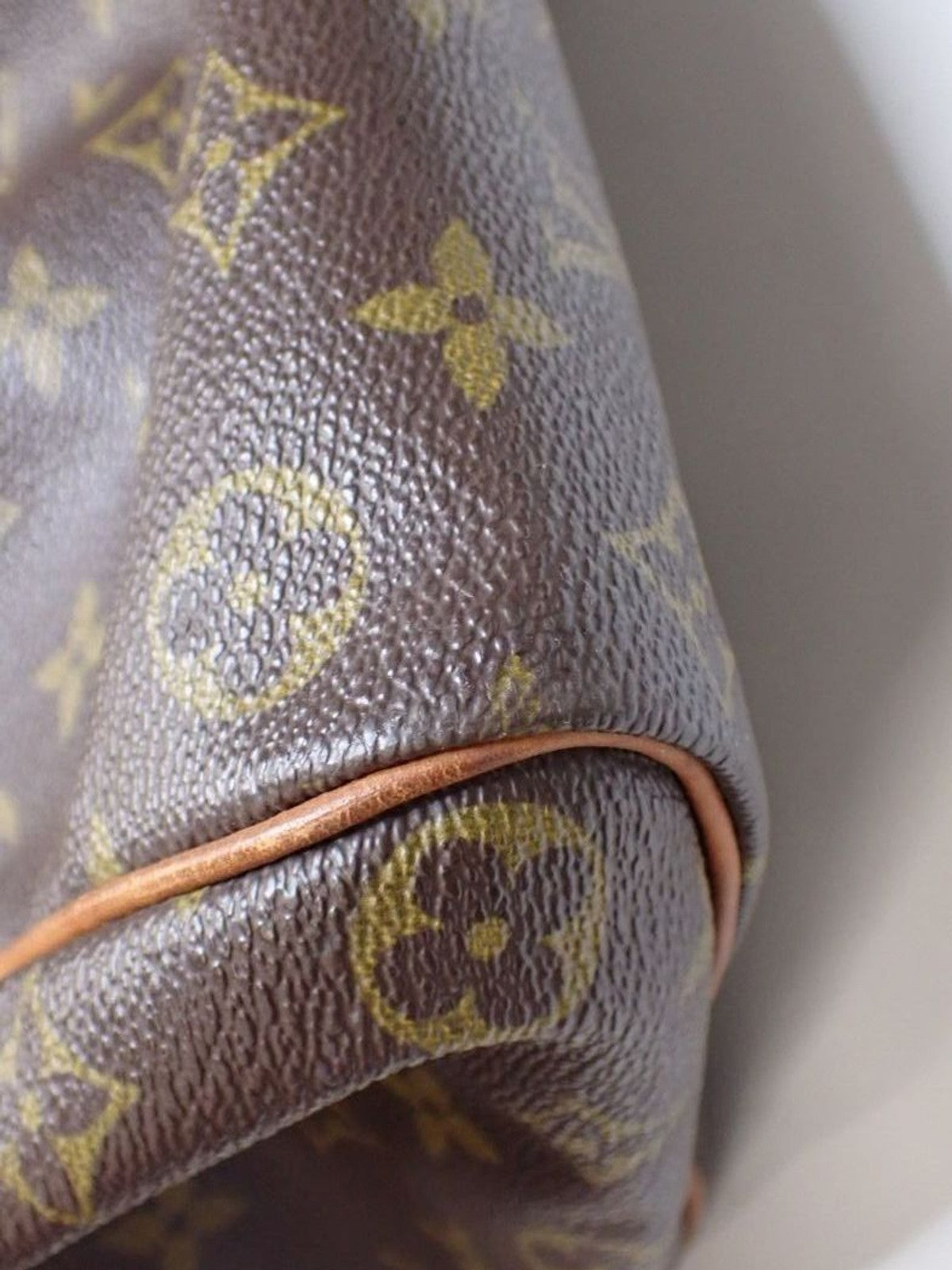 Louis Vuitton Speedy 35